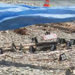 海岸に赤ちゃんの遺体 発見直後は煙が…体の一部が燃やされた状態　釣り人が通報　静岡・沼津市