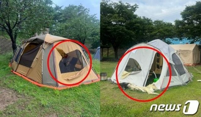 韓国・キャンプ場「迷惑」場所取りテント、切り裂かれる被害…だがネット世論は「気持ちがすっきり」