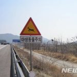 フロントバンパーに挟まったシカの死体に車の持ち主「気付かなかった」　韓国ネット拡散で騒動に