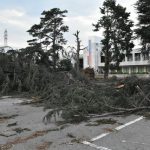 突風で屋根飛び、大木倒れる　1430戸が一時停電　栃木南部