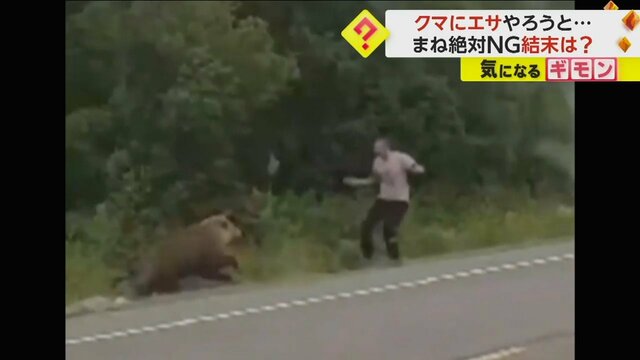 【絶対にマネしてはいけない】クマに襲われそうになった男性がクマを“逆威嚇”　にらみ合いの末…クマが根負け　ロシア