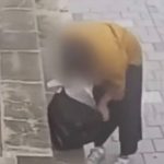 韓国の料理店、配達されたはずの「生きた鶏7羽」がない…監視カメラに映った年配女性2人の不自然な動き