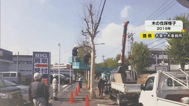 店の前だけ街路樹が枯れ切り株に…『ビッグモーター』名古屋名東店前の現場を市が確認 土壌調査も検討