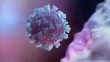 新種のコロナ変異体は、ワクチンを接種した人に感染を引き起こすとCDCが発表 （ロイター）