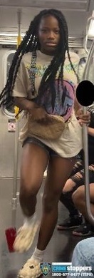 ニューヨーク地下鉄でアジア系家族を侮辱・暴行…１０代の黒人少女逮捕