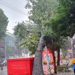 韓国、台風６号の進路予測して迅速対応…４００ミリ「水爆弾」も人命被害「ゼロ」（１）
