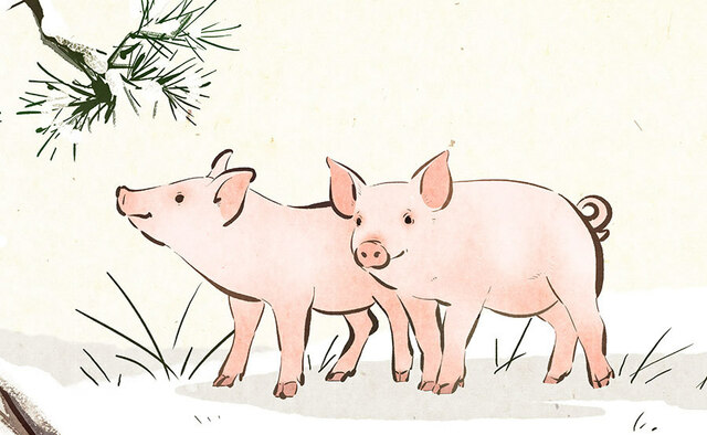 「クサいと苦情言われ、本当につらい」…模範的な養豚場経営者が自死　／全羅南道