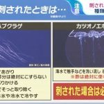 クラゲの種類によって異なる海の危険生物！刺されたときの対処法【日本ニュース24時間】