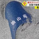被災スリッパが100キロの旅…台風で流された静岡市の旅館スリッパ　約1年後に愛知県豊橋市の海岸で発見