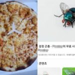 宅配ピザ、ほとんど食べたあと「中からハエ」と決済拒否…韓国の客が店に送った“不出来な証拠写真”