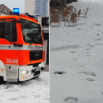 地球『温暖化』でドイツ・イタリアがとんでもないことに／イタリア南部で氷点下、豪雪、雹が降り、人々は寒さに震える／ドイツ南部では積雪３０センチ