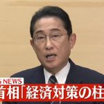 岸田首相が年収の壁支援に最大50万円の助成金を表明