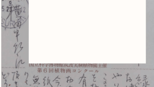 横田めぐみさんの誕生日に寄せて／「国民大集会」に参加した時のことなどを書きました（TNW）アーカイブ