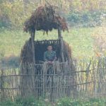 北朝鮮内部: ジャガイモ配給が飢えを緩和、米価も下落「なんとかもちこたえないと」