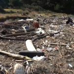 和歌山市の「ラピュタの島」に大量のゴミ漂着！　専門家によると、ゴミ減少まで10年かかる可能性