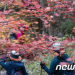 韓国・山岳会中年の低質な行動によって引き起こされた「世代」間の非難応酬