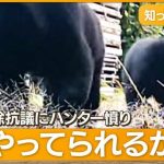 クマ討伐隊「パートに命かけられない」OSO越えクマも【詳細版】