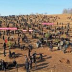 衛星写真から見える北朝鮮の植樹事業、「国家の大計」のはずが…飢餓や経済難で乱伐も