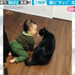 猫と赤ちゃんの愛らしいエピソードに心がときめく！感動必至のひとコマ