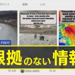 【函館市】イワシなどの大量打ち上げ映像、中国資本TikTokで「汚染水放出の影響」とデマ拡散　英大衆紙も一緒に拡散