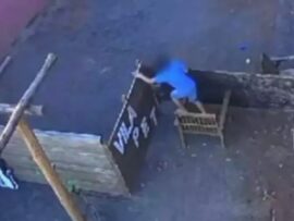 【衝撃】9歳少年が動物病院に侵入、小動物23匹を虐殺…防犯カメラに映る残酷な行為とは