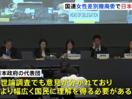 政府の代表団、選択的夫婦別姓の導入について「国民の理解を得る必要がある」　国連の委員会が日本政府の取り組みについて8年ぶりに対面で審査