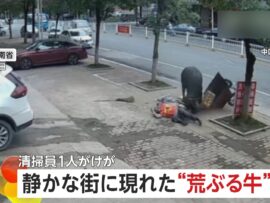 “荒ぶる牛” 逃げ惑う人々に猛突進…暴れ狂って室内侵入も　清掃員1人がけが　食用のため購入も逃走…警察官が射殺　中国