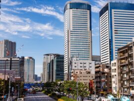 タワマンが立ち並ぶ豊洲に突如現れる“地面に埋め込まれたレール”の正体は？ 周囲には赤く錆びた鉄橋、茂みの中から貨物鉄道の痕跡が...