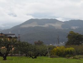 山の斜面が丸刈りに「迷惑施設化」する再エネ施設　脱炭素で原発回帰にかじ、福島から懸念の声
