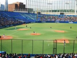 プロ野球は「国民的娯楽の王様」というフェイク。実は、日本のベースボールは衰退の危機に突入
