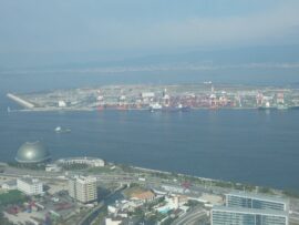 「ダイオキシンをはじめ有害物質がいっぱいですわ」大阪カジノ建設予定地・夢洲は本当に安全なのか？合格を出したはずの国の審査委員会も土壌汚染対策を再要望