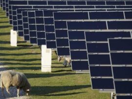 ドイツ、太陽光発電への補助金制限へ　電力価格下落で負担増大