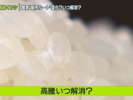 コメ高騰の波、家計を直撃！ 食卓を守るための節約術とは？