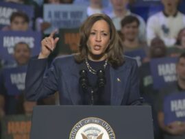 アメリカ大統領選：著名人のハリス副大統領支持表明が相次ぐ！選挙戦終盤の行方は？