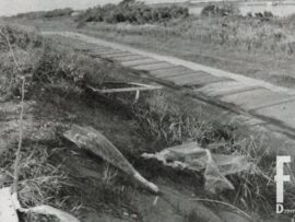 愛知・岐阜連続リンチ殺人事件：30年後の真実と少年犯罪の闇