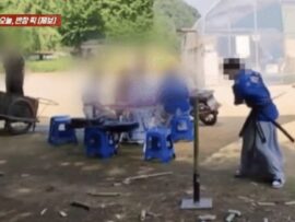 未成年者の日本刀練習に批判殺到！安全意識の欠如に韓国社会が震撼