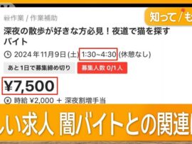 深夜にネコ探し？怪しいバイト求人に潜む闇