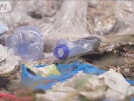 プラスチック汚染防止条約、合意に至らず来年へ先送り：国際会議の苦悩と今後の展望