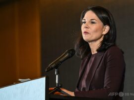ドイツ外相、ロシア支持めぐり中国に警告