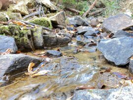 汚染源がなかったはずの岡山と200キロ離れた工場周辺で特殊なPFASを検出！ 「偶然とは考えづらい」汚染が拡散したのか
