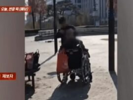 公園での散髪行為が物議：マナーはどこへ？仁川市の事例に見る公共空間でのモラル