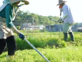 人手不足ニッポン：地方から見える経済大変革