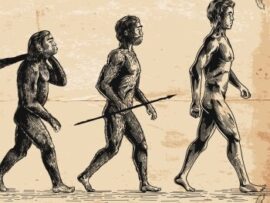 人類の道徳：500万年の進化が生んだ「善悪」の謎