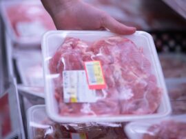 食費高騰で日本の食卓がピンチ！魚・肉・卵の価格上昇が家計を圧迫