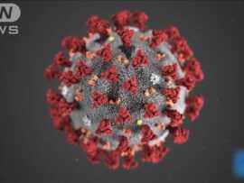 武漢研究所流出説が濃厚？新型コロナ起源、米下院報告書が波紋