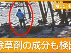河口湖畔ホテルの中国人経営者、景観のために隣地樹木伐採を指示し罰金30万円