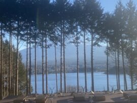 富士山眺望めぐり檜23本無断伐採事件：中国人経営者はいまどこに？