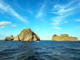 韓国の非常戒厳令を「竹島奪還のチャンス」と発言した日本の極右政治家を徐坰徳教授が批判