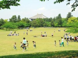 奈良公園でのK-POP無料ライブ開催に賛否両論！2.7億円の費用対効果は？