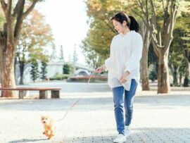 歩くだけで関節痛解消！？毎日の「ながら歩き」で健康寿命を伸ばそう！